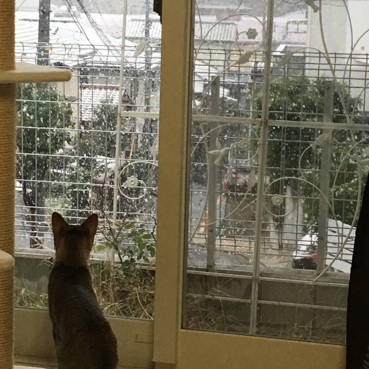 Bbed0cae 6332 4201 a17e 9e4cff419075