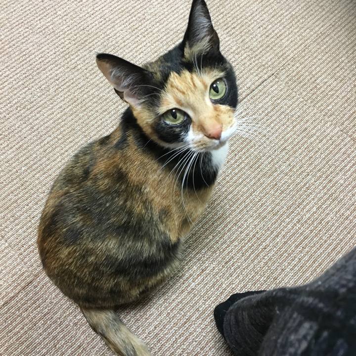 Bbed2e4b b5ea 4570 a9b7 58ebf3426ba3