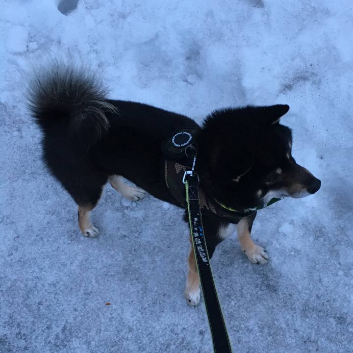 Bbede726 1d19 4ef2 9115 078244c7ed32