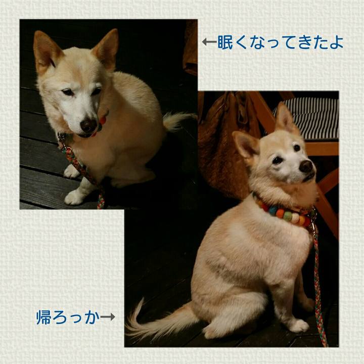 Bbef4a76 cbdb 4120 af5c 82b6c78d077c