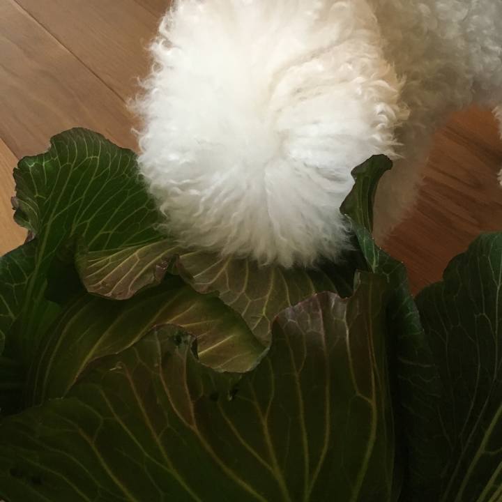 Bbef6a62 415b 4dae b5e3 0d01bb7644f3