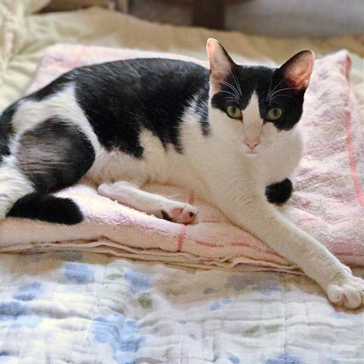 Bbf0821d 363a 4854 b328 0dd657e81a1b