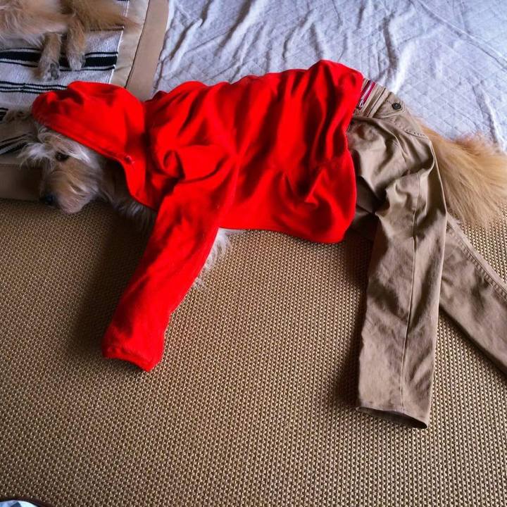 Bbf091a7 3b4b 4b7d b3fa 752269fcc16f