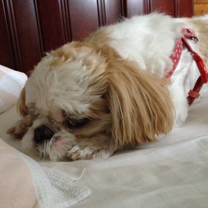 Bbf152ca 8e1d 49ff bcbc 6d8634f7bc61