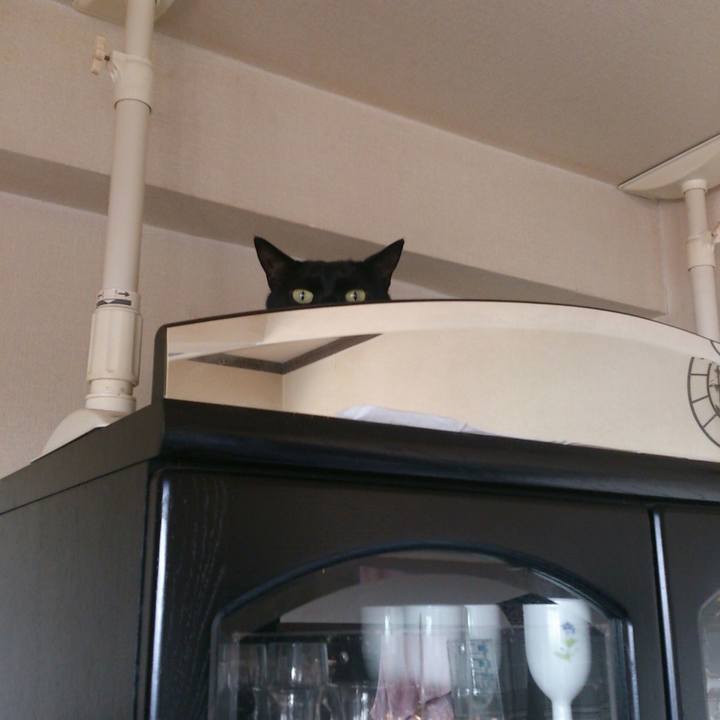 Bbf1e494 99ac 49b6 9e0e 6aa5f93bd982