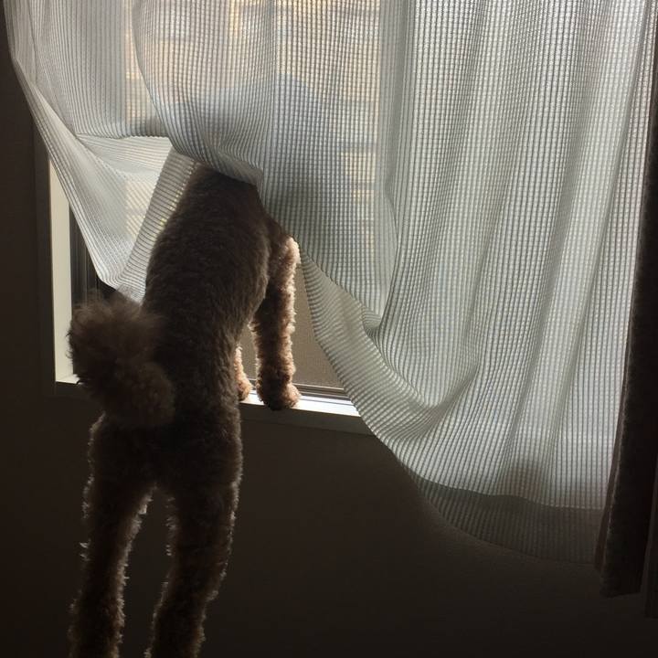 Bbf20756 b959 427e 8e88 824ac608afc4