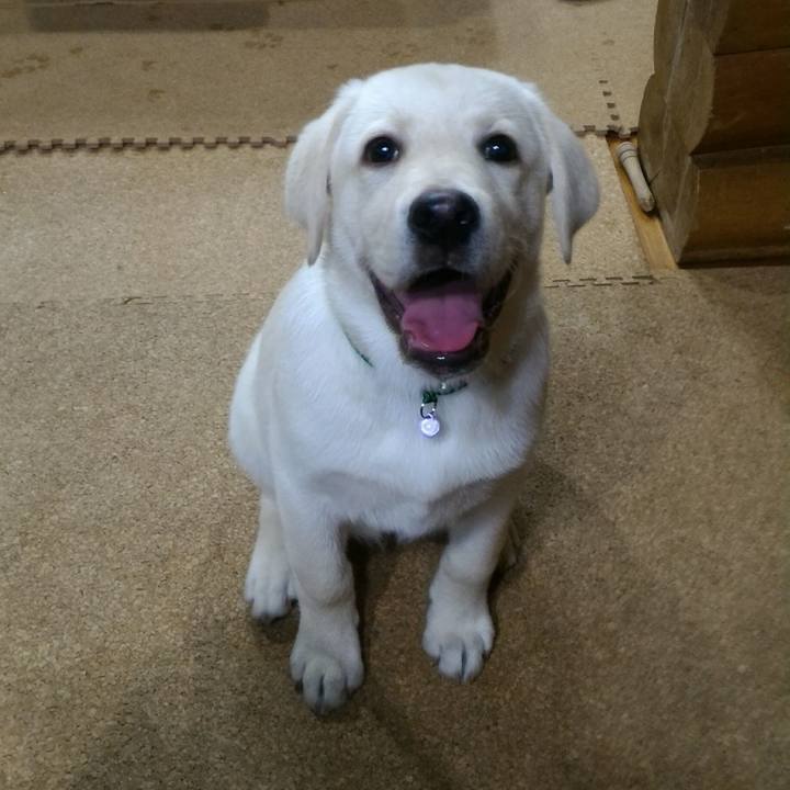 Bbf235fc 2694 403b b506 c2c8489ea806