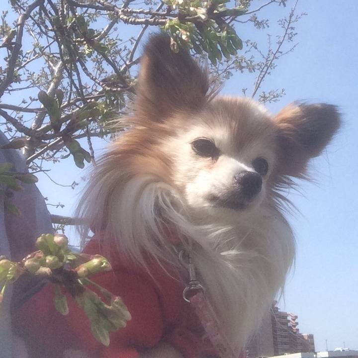 Bbf27898 6b1d 4697 8b2c 96f86d64a057