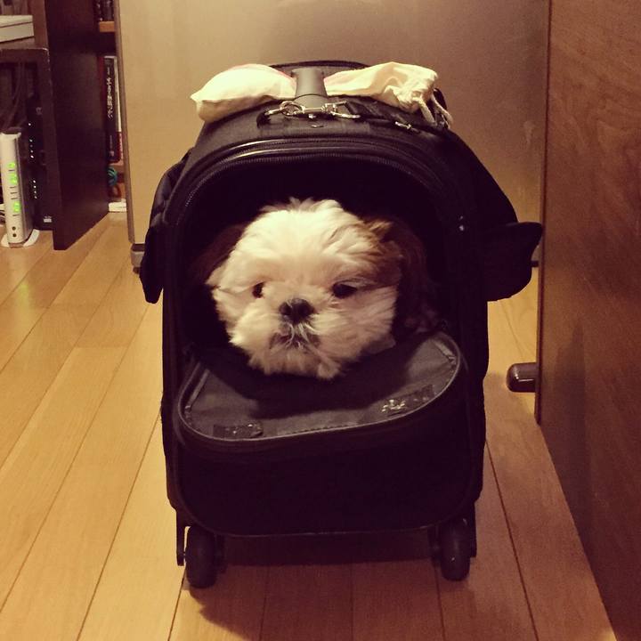 Bbf27937 62ed 4d8d 852b fe454def0247