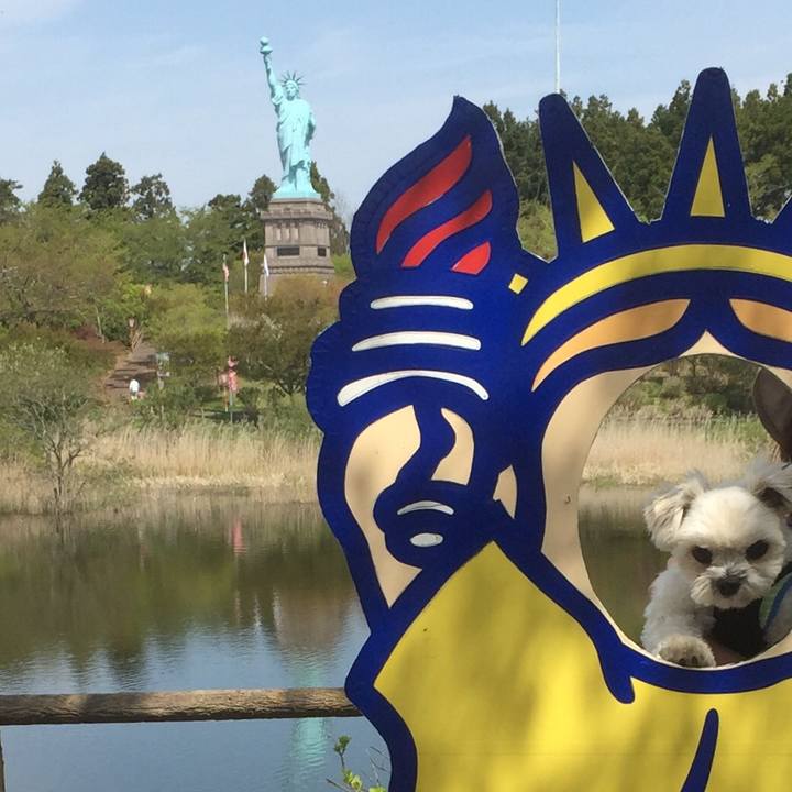 Bbf32c1b aa01 46bd 99ca c9b75b0e7706