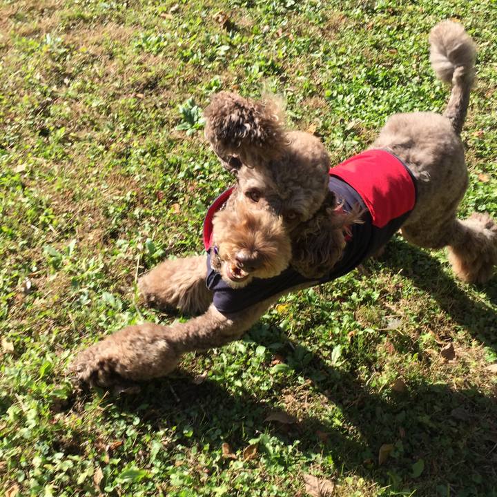 Bbf3e3fe f655 4b28 a097 bb511822e236