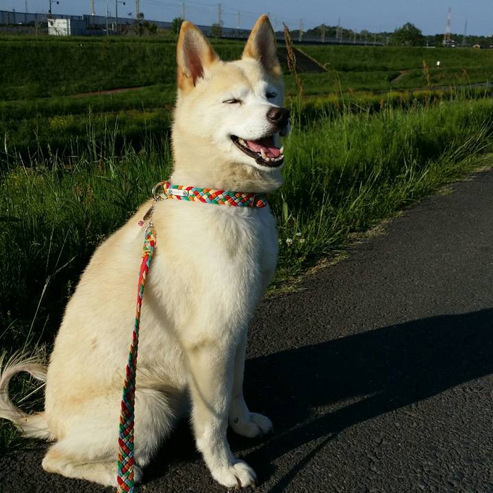 Bbf3f950 6bd7 406c 8eab 1d1082906631