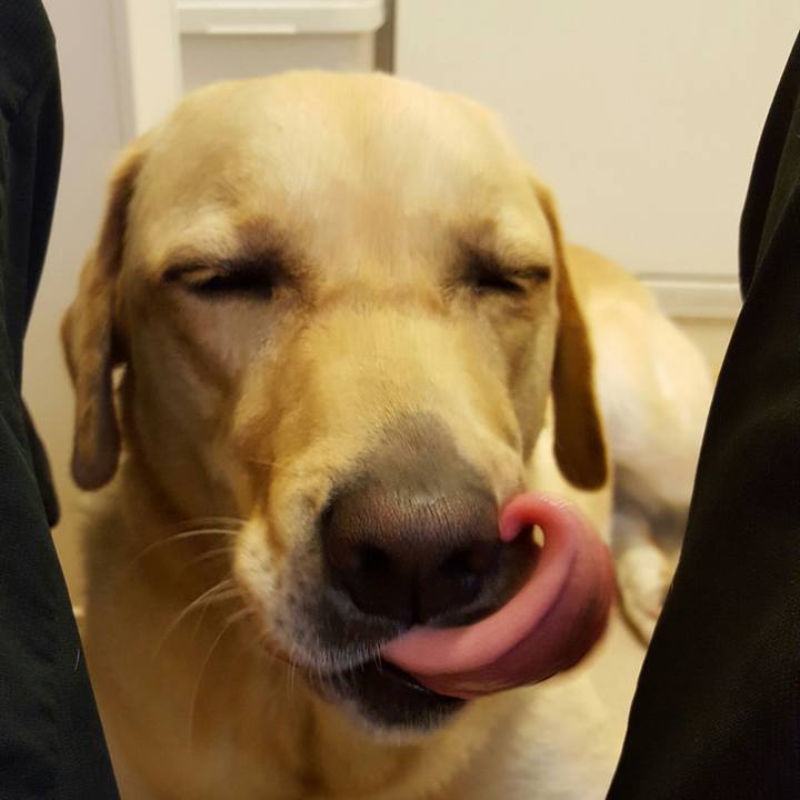 Bbf4ec5d 1b4d 42be b335 78f12f1e4183