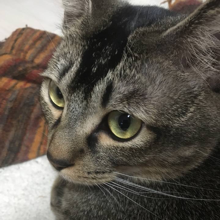 Bbf54f8a 6ec1 4798 a552 87fe3d860c89