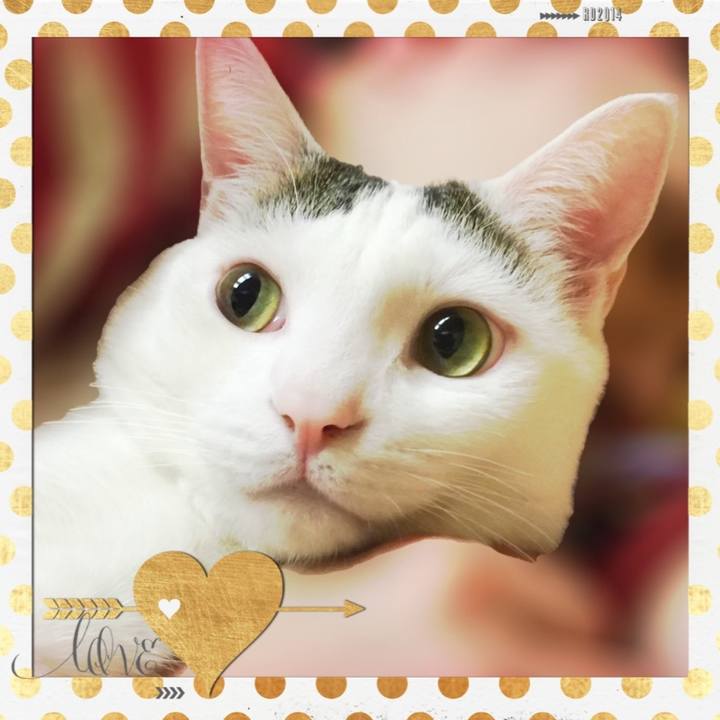 Bbf591f2 e1a4 4fe2 a143 96ab9d7746e7