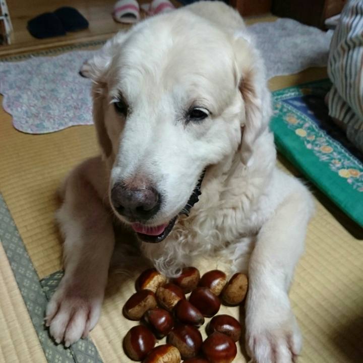 Bbf5d571 af64 4bf1 91fb 5cb38bf8d1eb