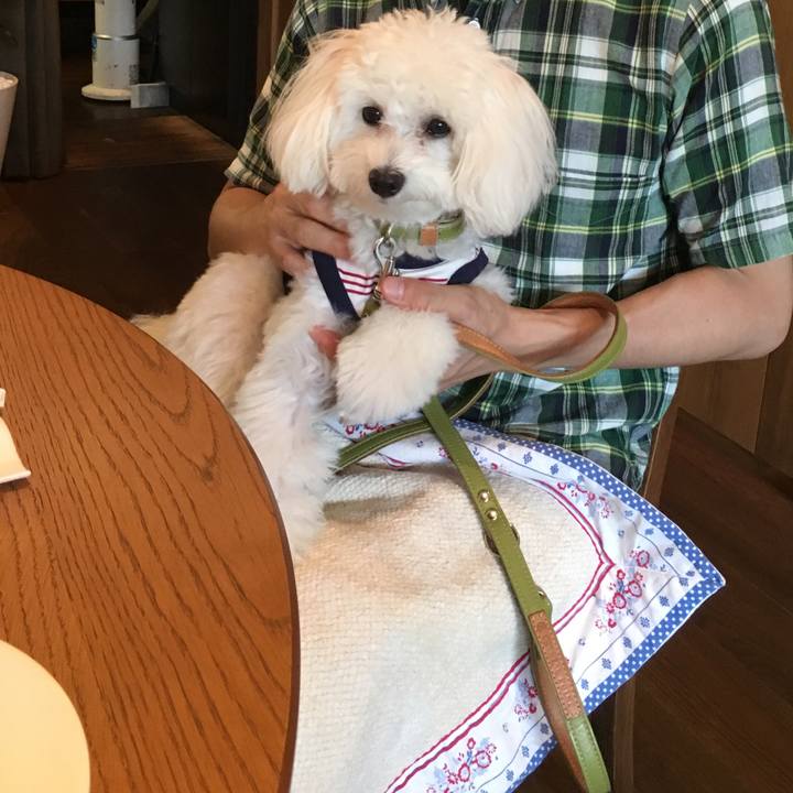 Bbf6623f ff21 4416 a35c 5b2c6f2c376d