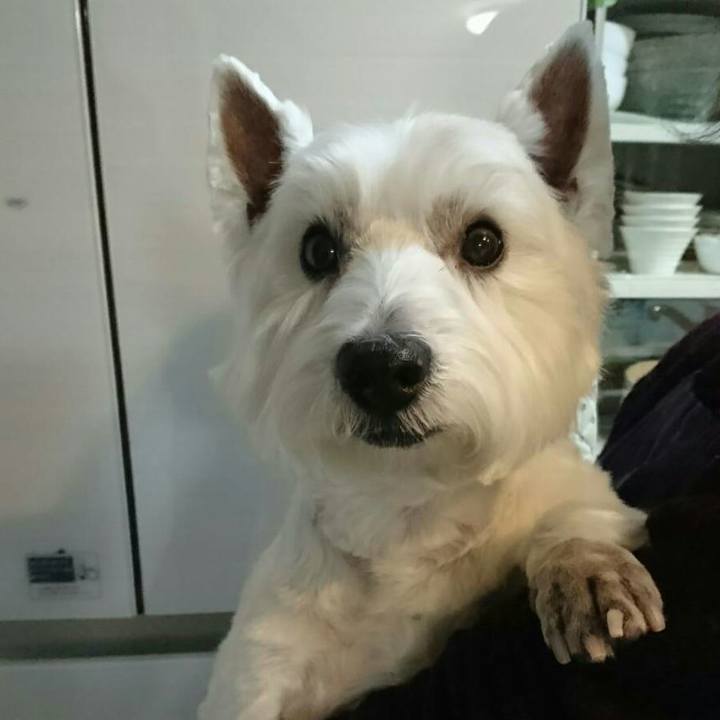 Bbf6ab3b 1ec9 4996 b554 8bebbb9fc366