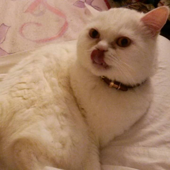 Bbf7454b d2bb 4d23 854e e6b14d8bc693