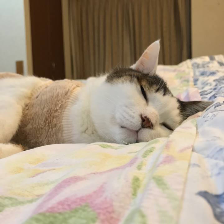 Bbf76586 52b2 427b 8a7b baf51d5c9922