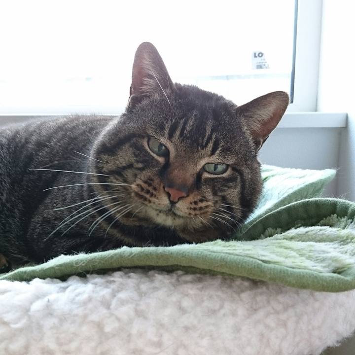 Bbf780cc 7448 4666 adc6 2b7f081e0b23