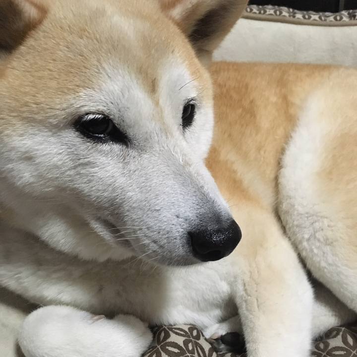 Bbf78d16 87c1 4261 8414 c0934221a1d2