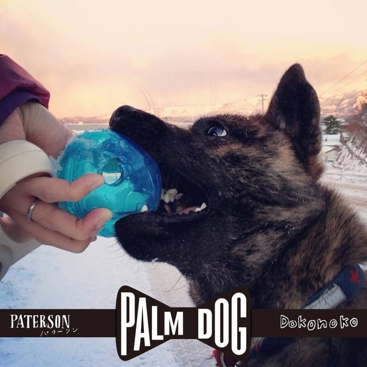 Bbf793d0 4196 432b b12a 8af181096c61