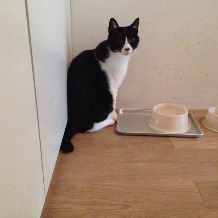 Bbf857a3 3788 49a2 81da 922378d0f7cc