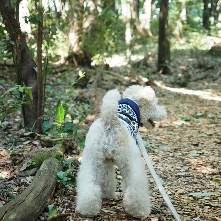 Bbf909b9 77b1 461e 800d 59a2c4c971da