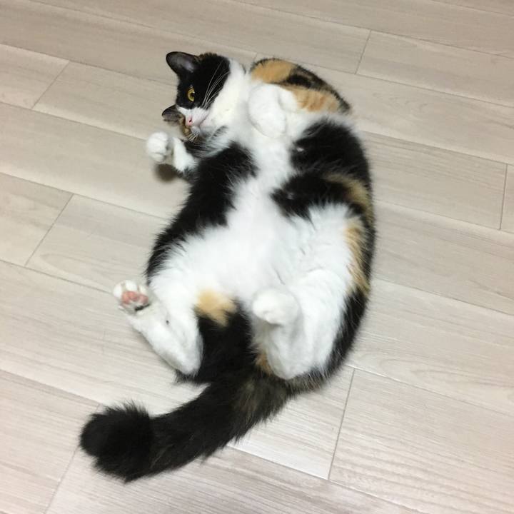 Bbf9bf1b c249 4297 b1b5 8c7dbd2cbb22