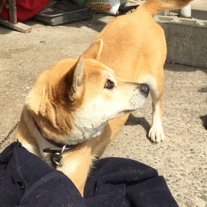 Bbfa6b29 fe54 4982 9506 3be06bd7bb94