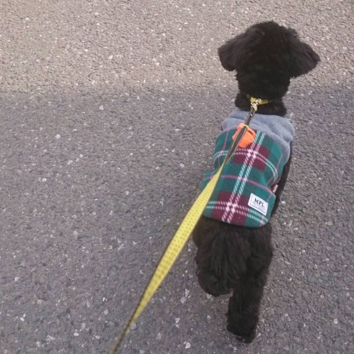 Bbfb3ecf e47b 493a 8ac5 2948f9f591bb