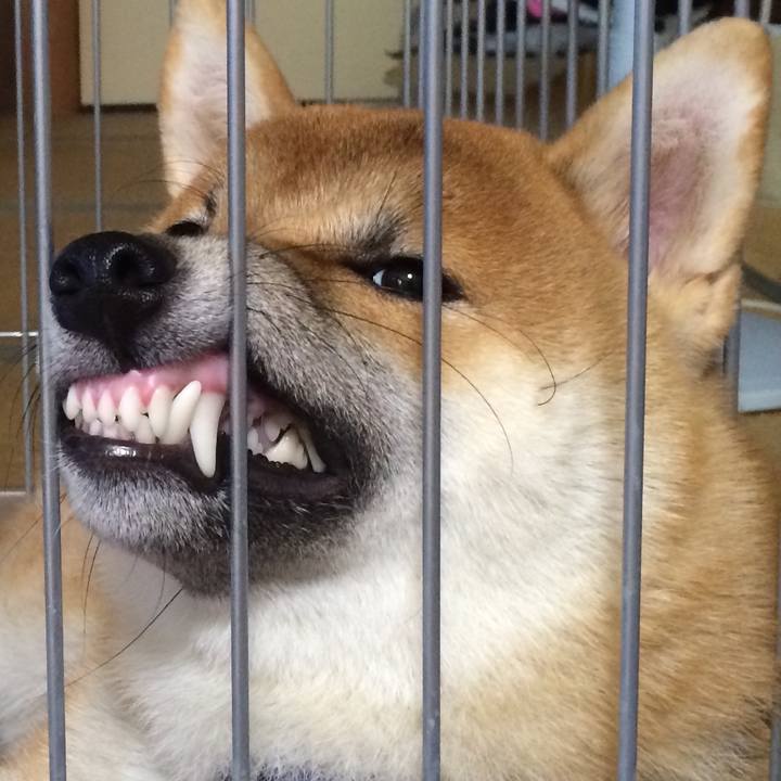 Bbfb86a7 2a0a 441a a750 7b6d7b796d4f