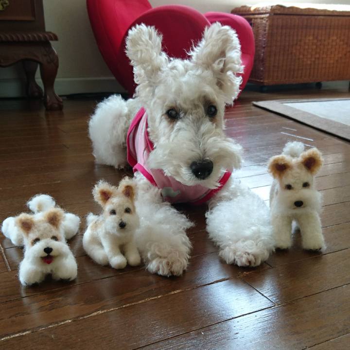 Bbfbb4df cf88 40f1 a8cf fb3a5d4fb006