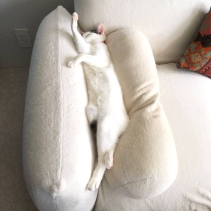 Bbfbebe2 cf80 4eb7 860e 943d8407aecc