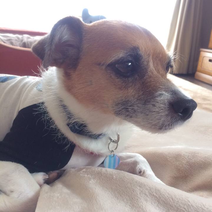 Bbfce780 0f67 4c73 b3f9 725e5e3ef613