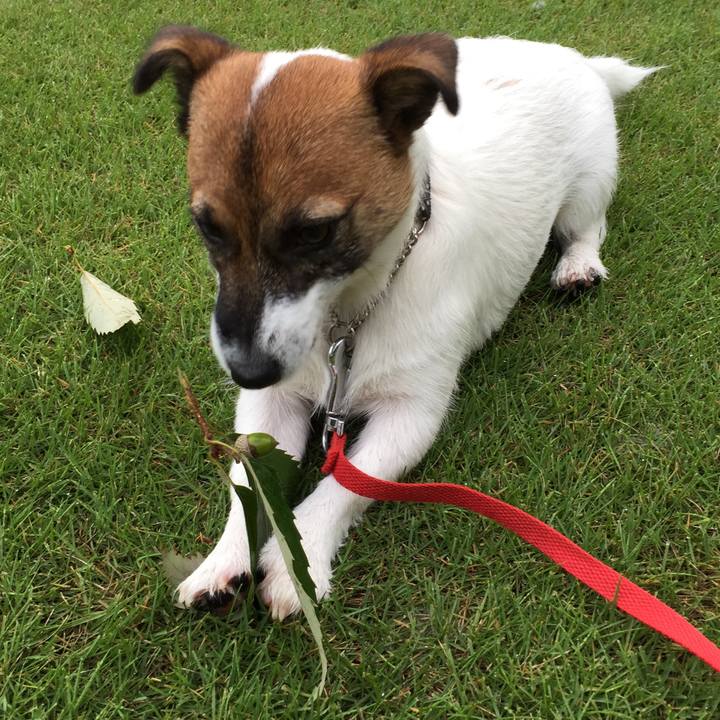 Bbfd06b5 c03f 4c6e bef4 0ecbf3709743