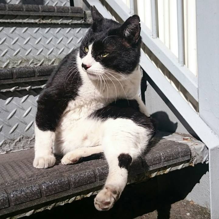 Bbfd614c c787 4377 8064 78424433a269