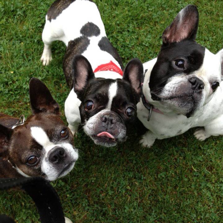 Bbfe4ff8 0375 4161 ba0e 5160cfcc426b