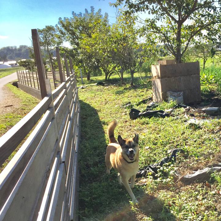 Bbfe5982 8a13 4ccb 8913 7821ee717429