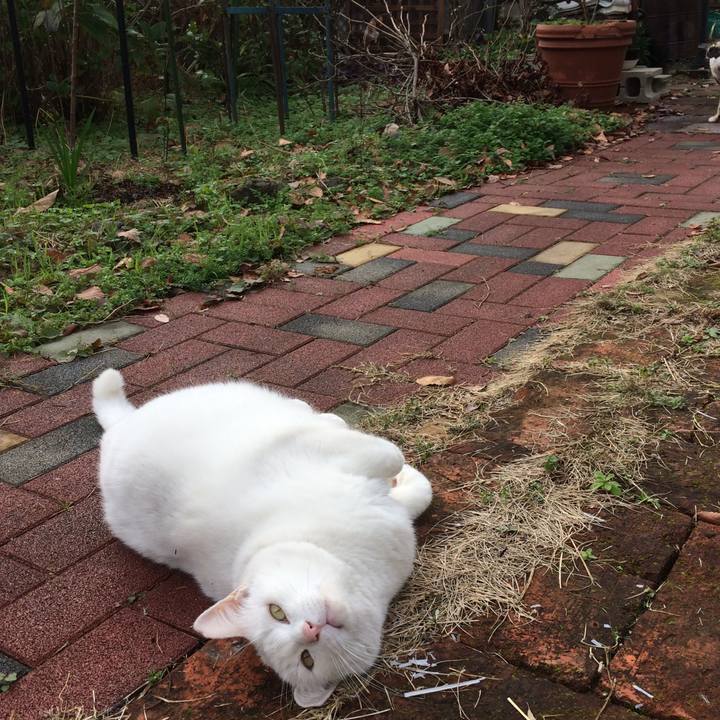 Bbfea9d7 4f34 4003 9d54 48f8321aa0d9