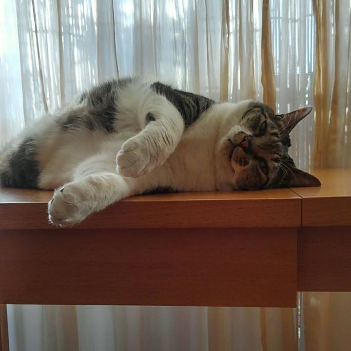 Bbff1384 72ac 41e7 af58 204051bc26ea