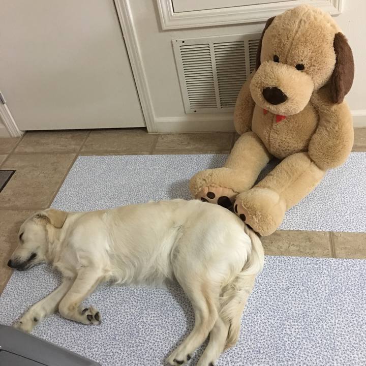 Bbff4285 6f7c 43d2 a893 1136a7be61fa