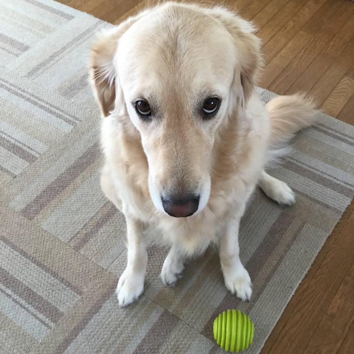 Bbff7289 ba1f 4f0c 8f9f a32225650972