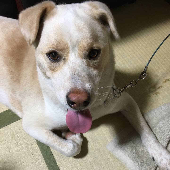 Bbffd289 b9fa 4580 91f7 14717c4c611e