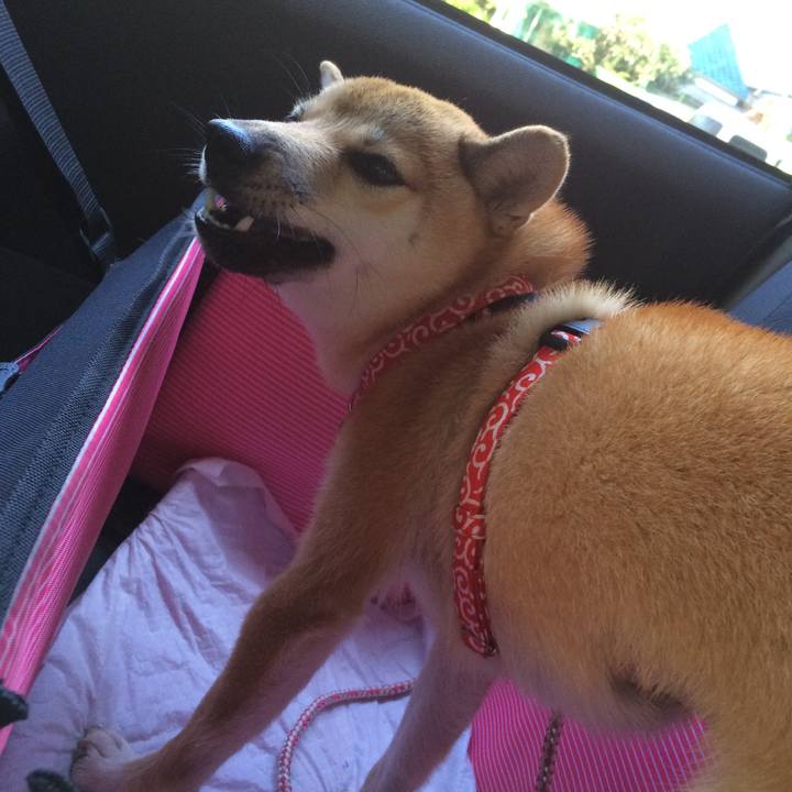 Bc00a596 050a 4727 998d cbc2c1aba560