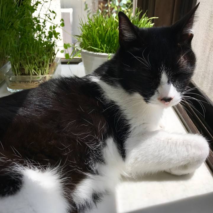 Bc00d687 efa7 4977 b2cf d7b2f4ea62b1