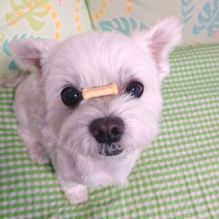 Bc015d43 3ca0 4924 88c0 28c71c4b5517