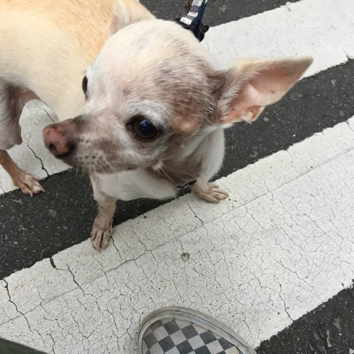 Bc01dcbe 0ba1 4e40 9542 49d354095694