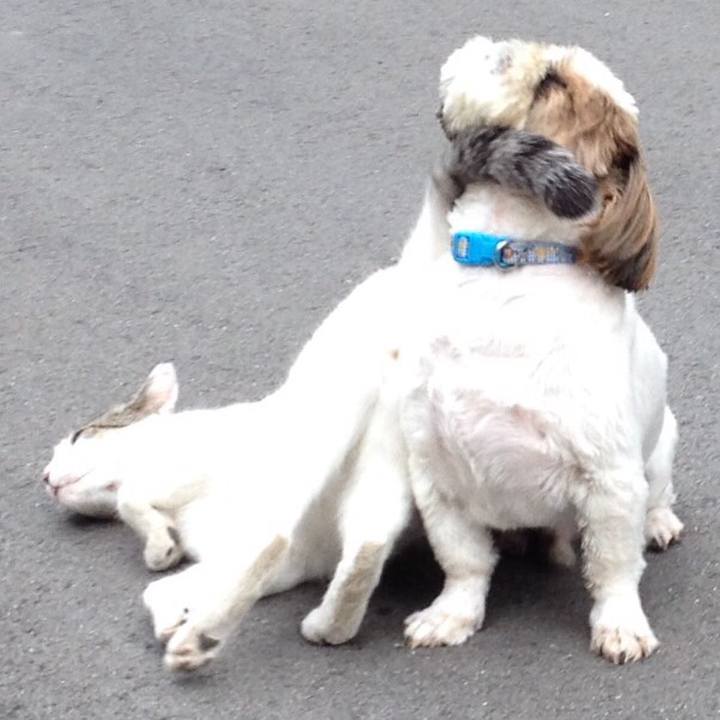 Bc0215ea 9bb4 4492 8692 12256a683a59